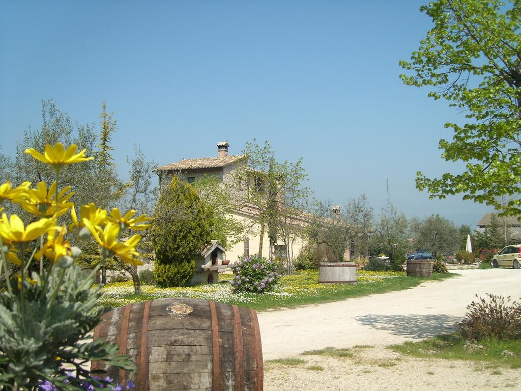 Вілла Fattoria Del Quondam Giano dell'Umbria Екстер'єр фото