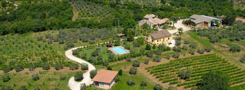 Вілла Fattoria Del Quondam Giano dell'Umbria Екстер'єр фото